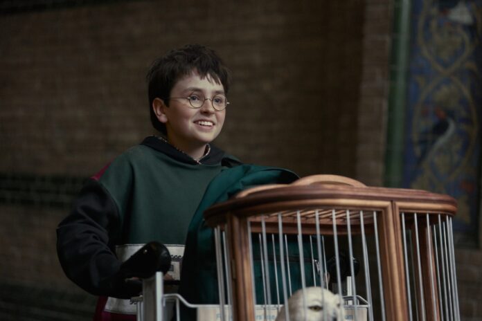 Harry Potter y la Piedra Filosofal serie 1