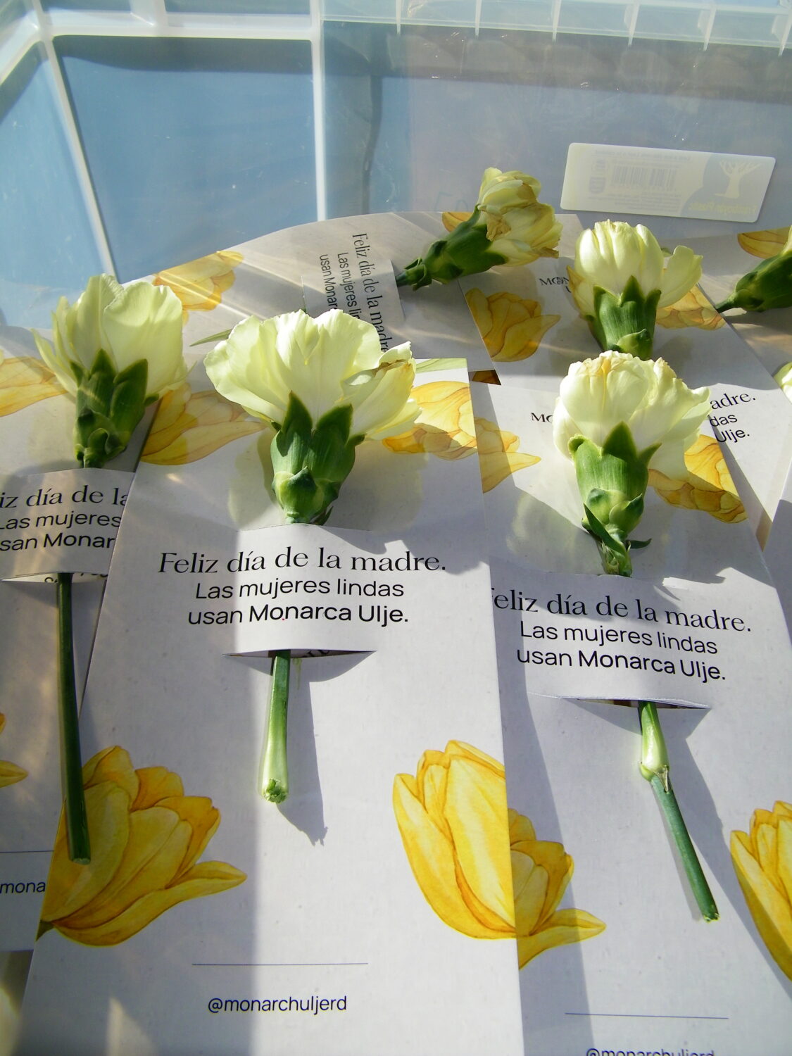 Monarca Ulje celebra a las madres con más de 500 flores repartidas en las calles 1 IMG 8810.JPG